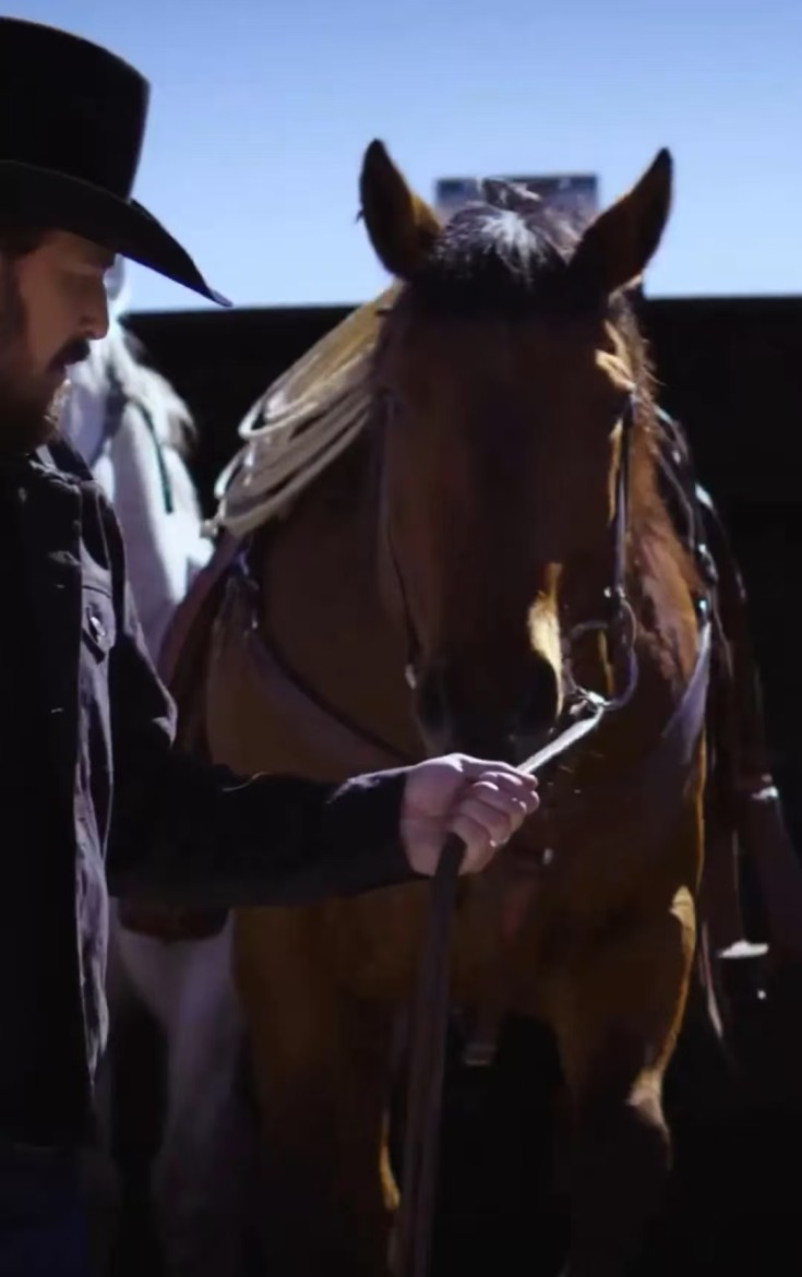 《中国AI西部牛仔：乱世淘金，谁主沉浮？》