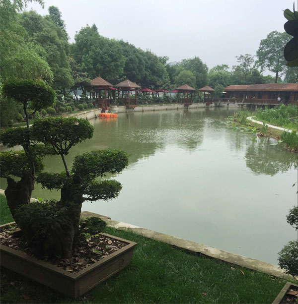 激增的互联网漏洞，你知道多少？